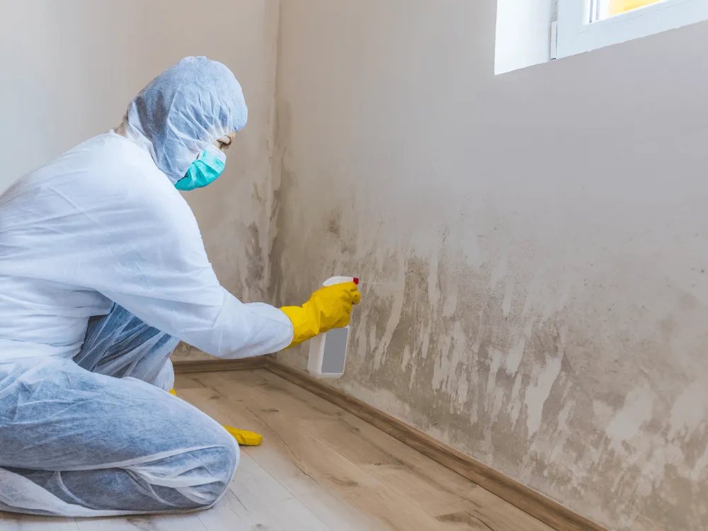 mold-cleaning-atlanta-1
